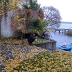 Colourful leaves and two paparazi